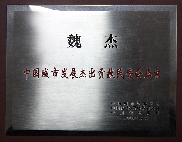 中國城市發(fā)展杰出貢獻(xiàn)民營企業(yè)家